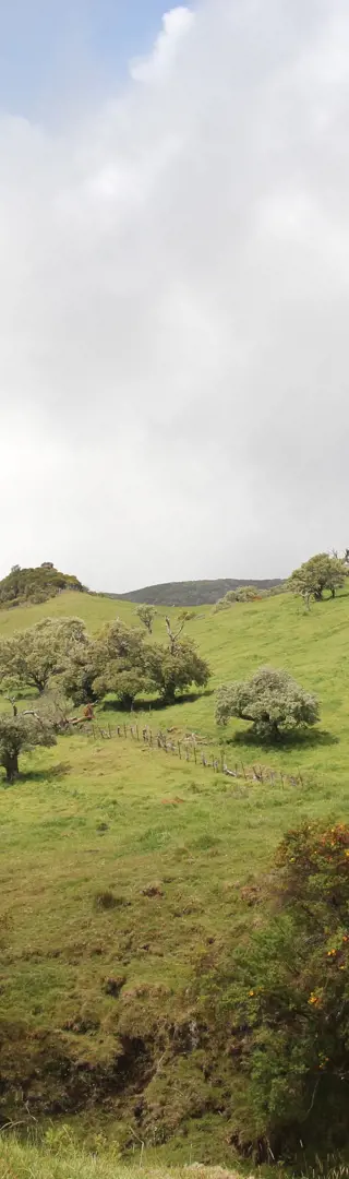 Immer noch mitten im Indischen Ozean